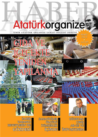 Mart 2013