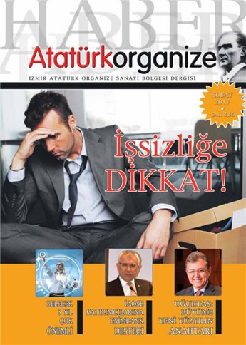 Şubat 2017